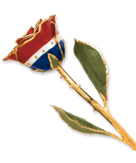 Liberty Rose-Gold Trimmed Rose in Red, White & Blue