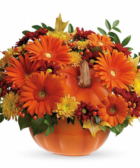 Country Pumpkin