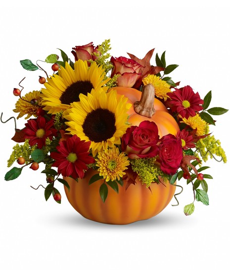 Sunny Pumpkin