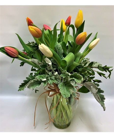 Tulips Blooming