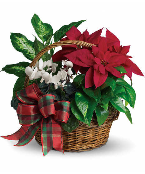 Holiday Poinsettia Planter Basket