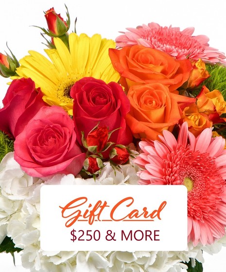 In-Store Gift Card