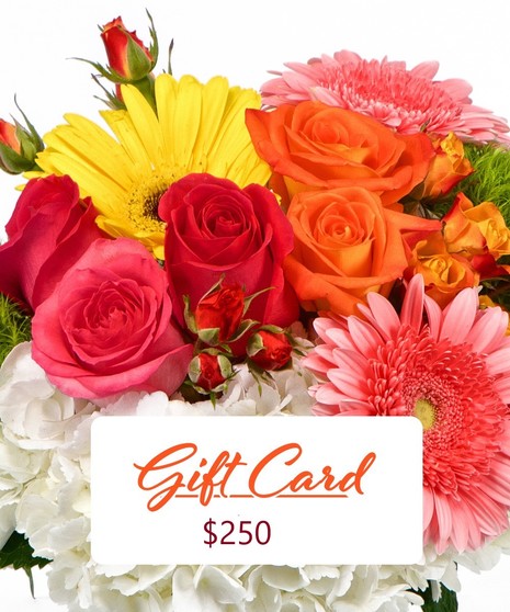 In-Store Gift Card $250