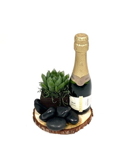 MINI WINE AND SUCCULENT