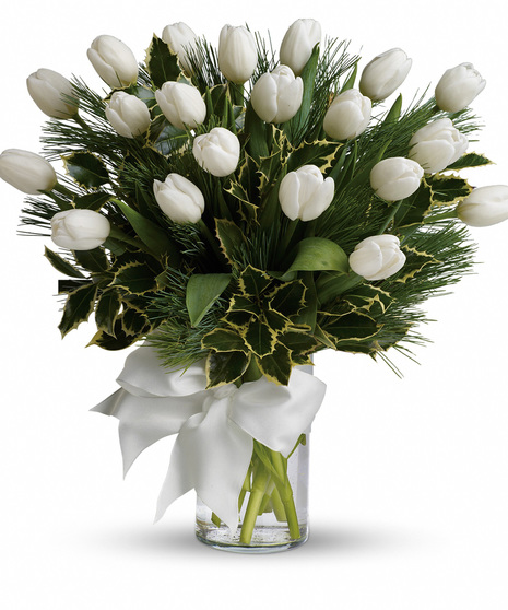 Xmas Tulip Gift