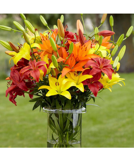 Vase Of Assorted Lilies - Designer's Choice