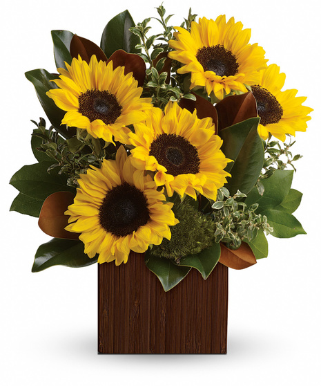 sunflowers with oregonia stems seeded eucalyptus, flat greens, arranged in a dark brown bamboo cube