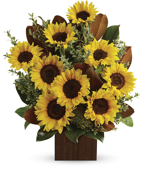 sunflowers with oregonia stems seeded eucalyptus, flat greens, arranged in a dark brown bamboo cube