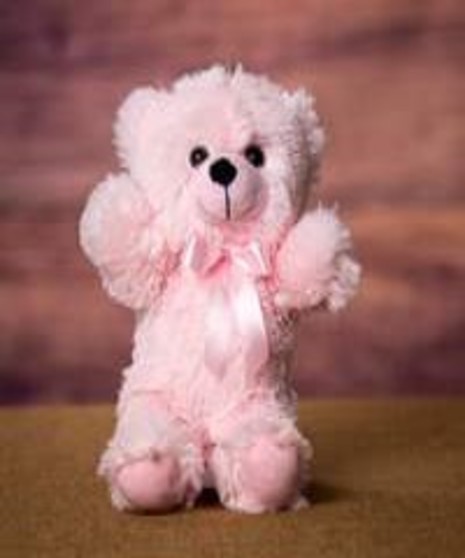 Pink Bear 14