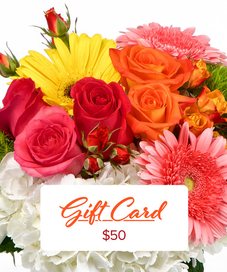In-Store Gift Card $50