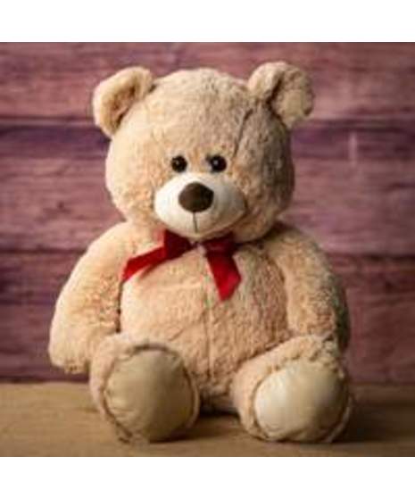Medium Bear