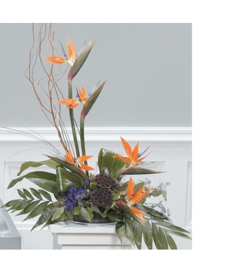 Paradise Pedestal Arrangement