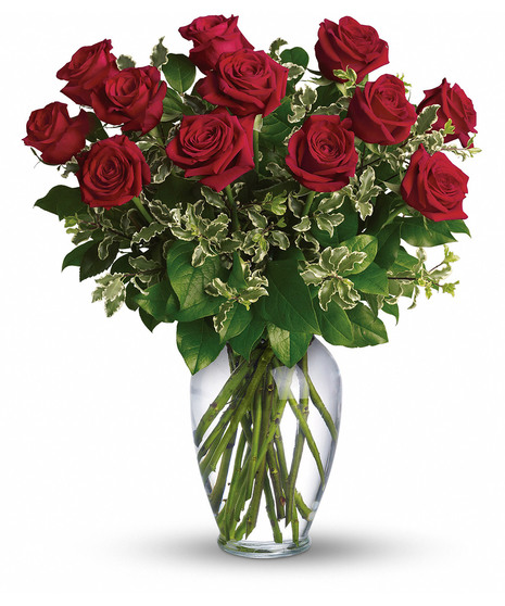 Just Because Flowers