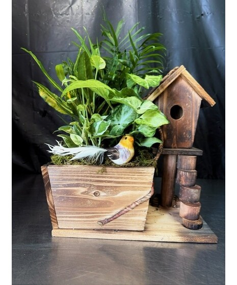 Planters & Dish Gardens