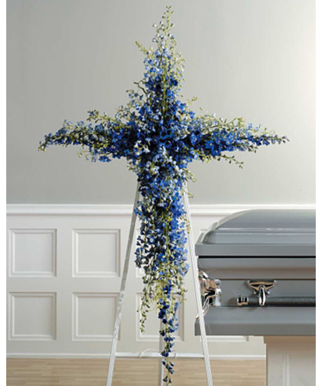 Blue Delphinium Cross