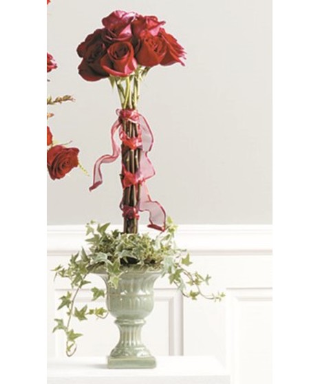 Red Rose Topiary