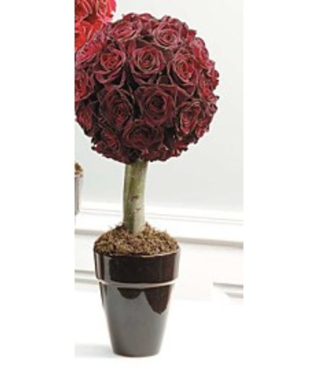 A ceramic urn with topiary style arrangement of roses and hypercium in red and moss.   