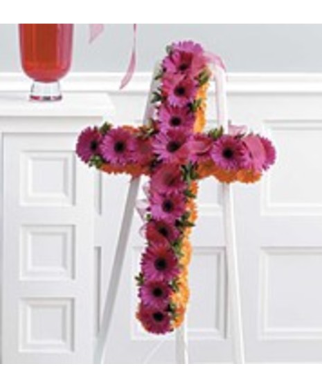 Gerbera Daisy  Cross