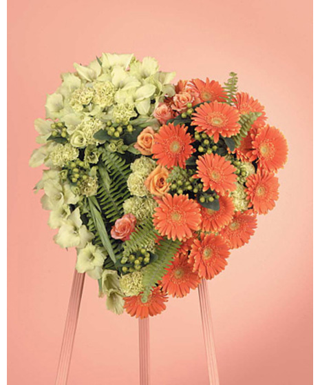 Orange Gerbera Daisy & Green Viburnum Heart