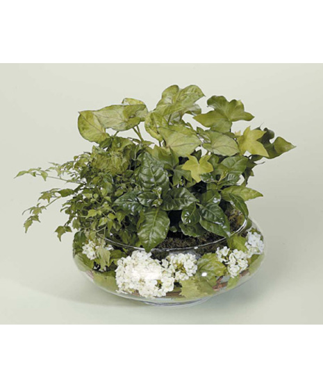 Dish Garden with White Silk Accents