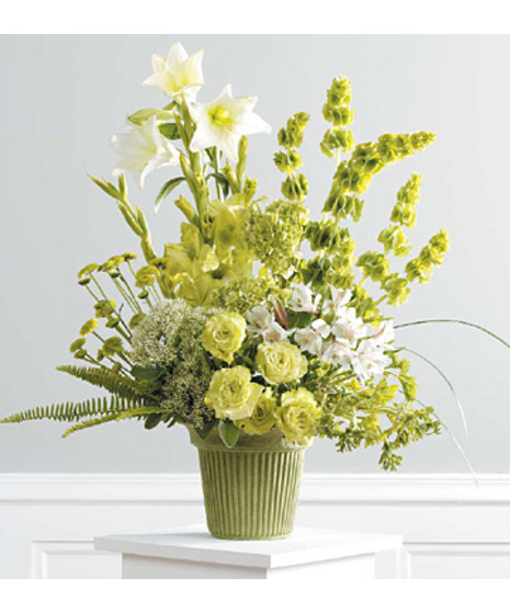 Green Mache Arrangement