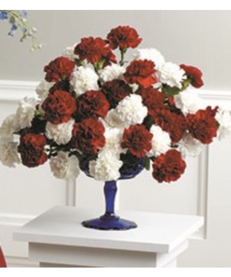Red & White Carnation Arrangement