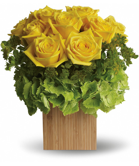 Box of Sunshine