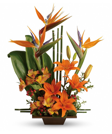 Birds of paradise, asiatic lilies, alstroemeria, red hypercium, accented with ti and galax leaves arrive in a beautifully exotic keepsake bamboo container.