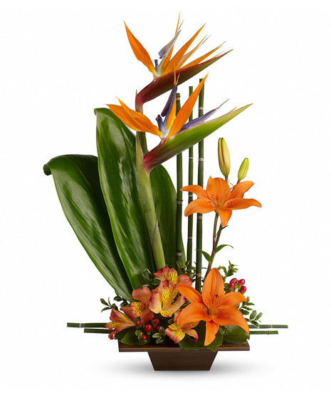 Birds of paradise, asiatic lilies, alstroemeria, red hypercium, accented with ti and galax leaves arrive in a beautifully exotic keepsake bamboo container.