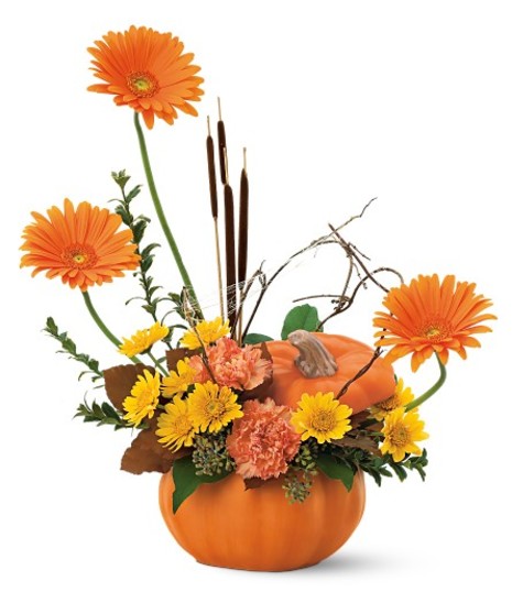 Autumn Pumpkin