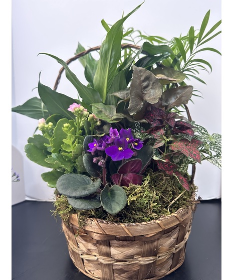 Blooming Basket Garden Deluxe