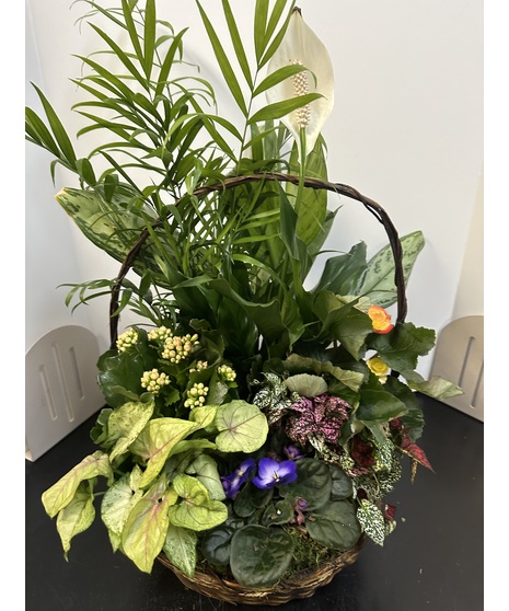 Blooming Basket Garden Large