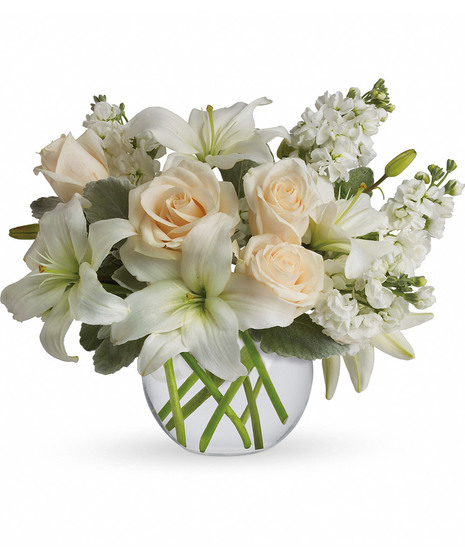 A compact and low arrangement  clear bubble bowl comes with white lilies, cream roses, white stock, and dusty miller.