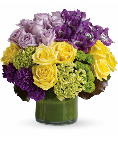 leaf line cylinder with yellow roses, lavender roses, purple carnations & alstromeria, green buttons & hydrangeas amidst galax leaves 
