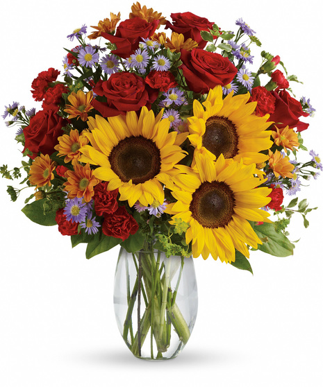 Sunflowers, red roses and miniature carnations, purple monte casino, bronze or yellow daisies with bupleurum and salal in a clear glass vase
