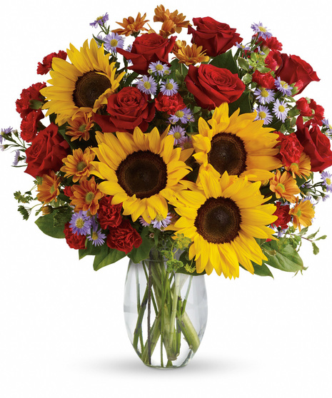 Sunflowers, red roses and miniature carnations, purple monte casino, bronze or yellow daisies with bupleurum and salal in a clear glass vase