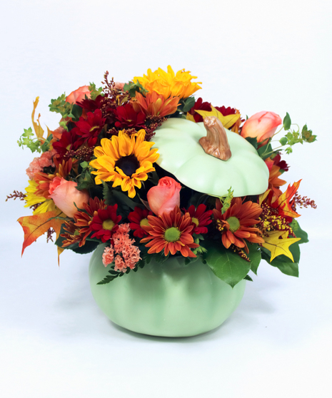 Autumn Sage Pumpkin