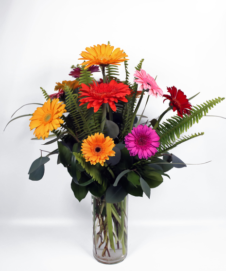 Gerber Daisy Delight