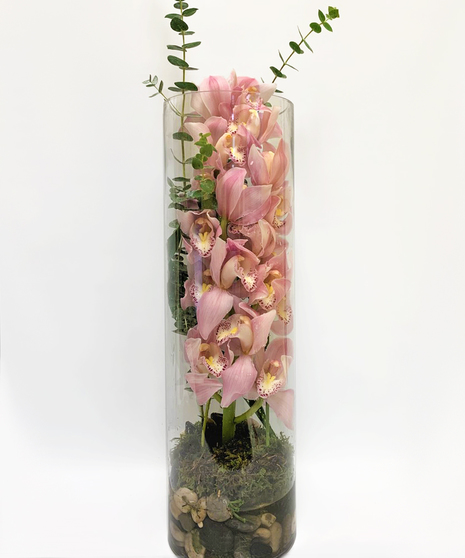 clear glass cylinder encloses single stem fuchsia cymbidium orchid and spiral eucalypis, moss at bottom with river rocks