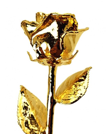 Gold Rose