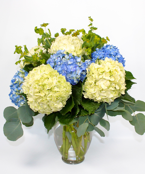 Nothing But Hydrangea