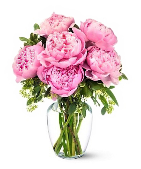 Pretty Peonies