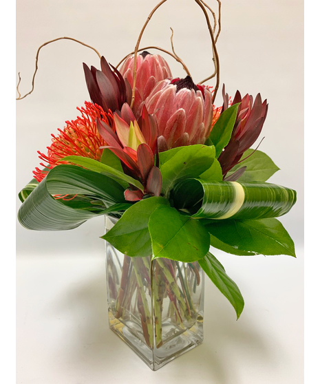 Protea Surprise