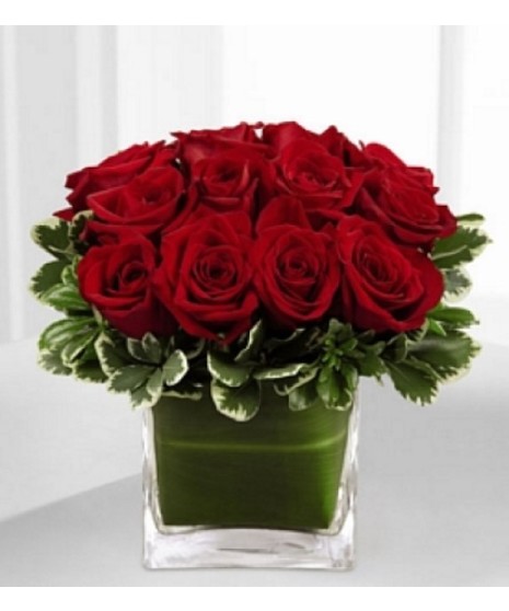 clear cube with red roses in center and lines with pittosporum on the edges
