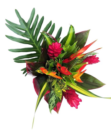 Tropical Arrangement - Designer's Choice