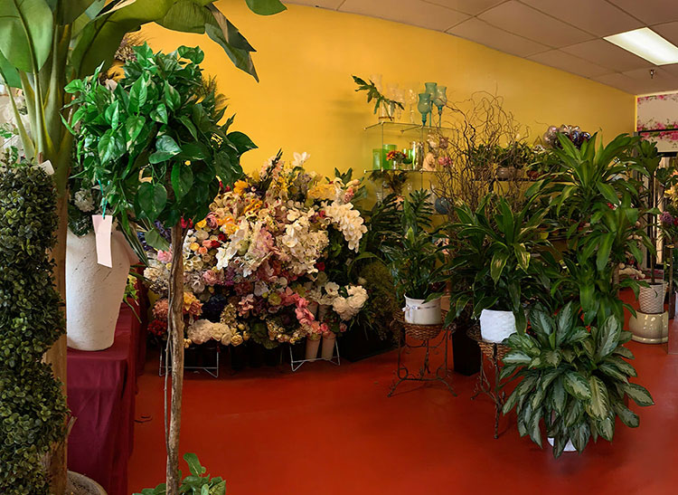 Floral arrangements and plants lining the interior of our showroom