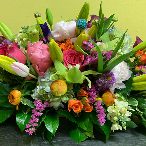 Flower Kingdom Plant, Flower, & Gift Delivery Palm Beach Gardens (FL)