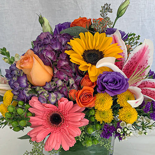 Flower Kingdom Plant, Flower, & Gift Delivery Palm Beach Gardens (FL)